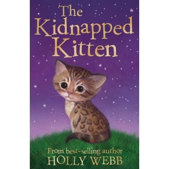 TheKidnappedKitten (Puppy & Kitten Rescue Series)
