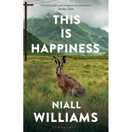 This Is Happiness - Niall Williams