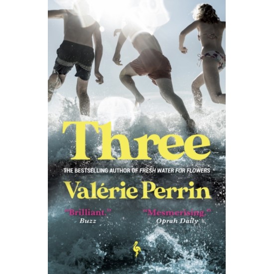 Three - Valerie Perrin (The Bookshop Bookclub July 2023 Read)