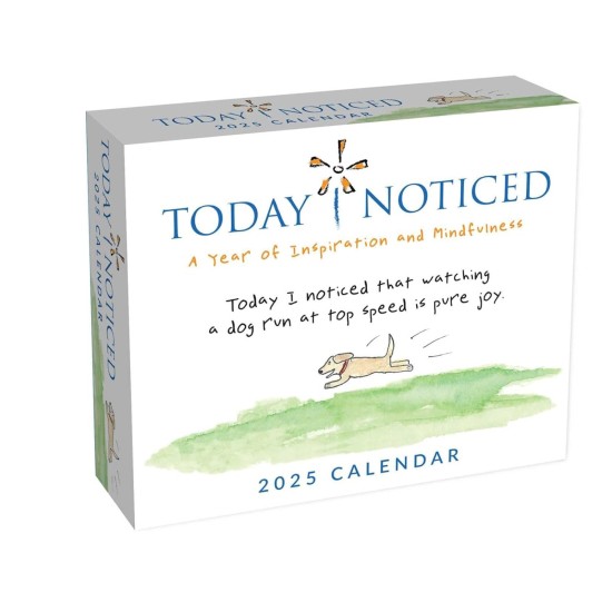 Today I Noticed 2025 Day-to-Day Calendar : A Year of Inspiration and Mindfulness