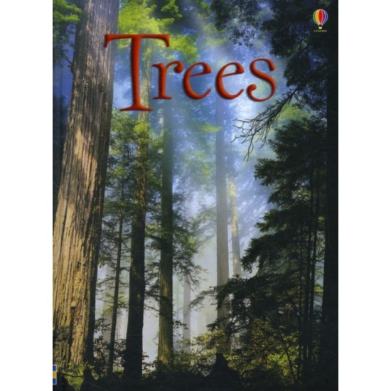 Trees (Usborne Beginners) DELIVERY TO EU ONLY