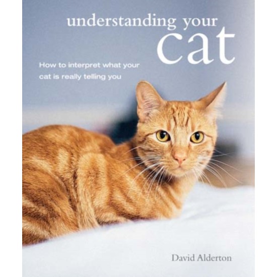 Understanding Your Cat : How to Interpret What Your Cat is Really Telling You