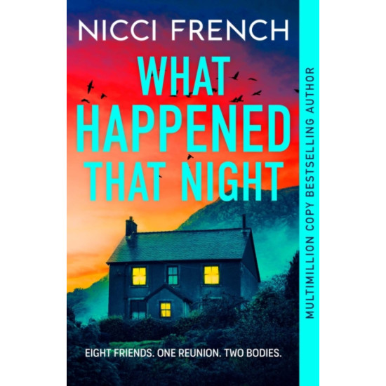 What Happened That Night - Nicci French