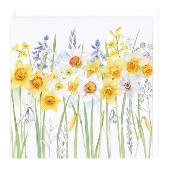Whistlefish Card -  Daffodils blank card (DELIVERY TO EU ONLY)