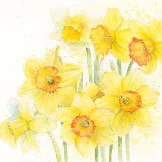 Whistlefish Card - Blank Card Daffodils Floral Art Card (DELIVERY TO EU ONLY)