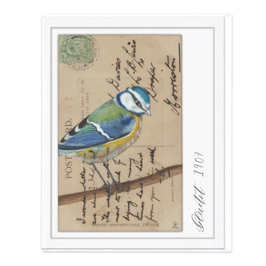 Whistlefish Card - Great Tit Vintage Art Blank Card