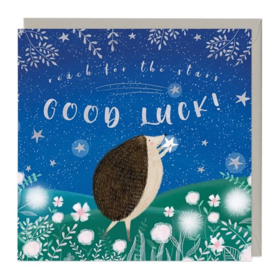 Whistlefish Card - Hedgehog Good Luck Card (DELIVERY TO EU ONLY)