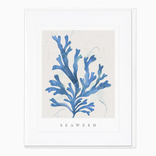 Whistlefish Card - Seaweed Seagrass Card