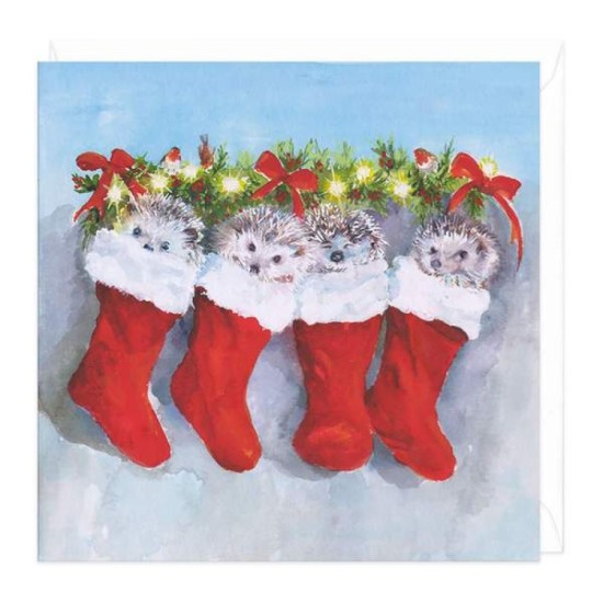 Whistlefish Charity Christmas Cards Pack - Hedgehogs Stockings and Grotto (DELIVERY TO EU ONLY)