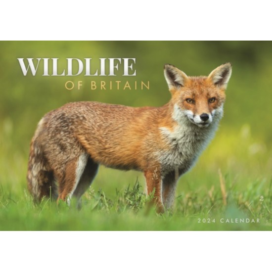 Wildlife of Britain A4 Calendar 2024
