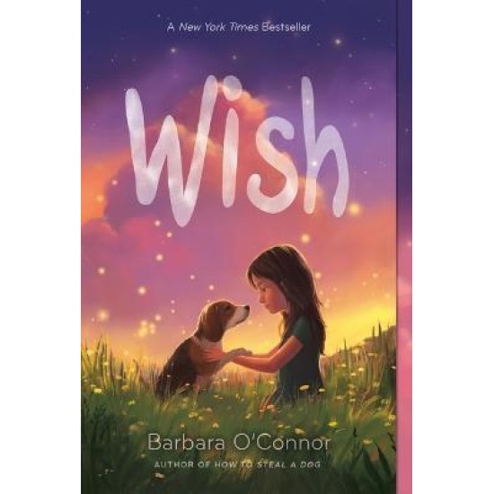 Wish - Barbara O'Connor